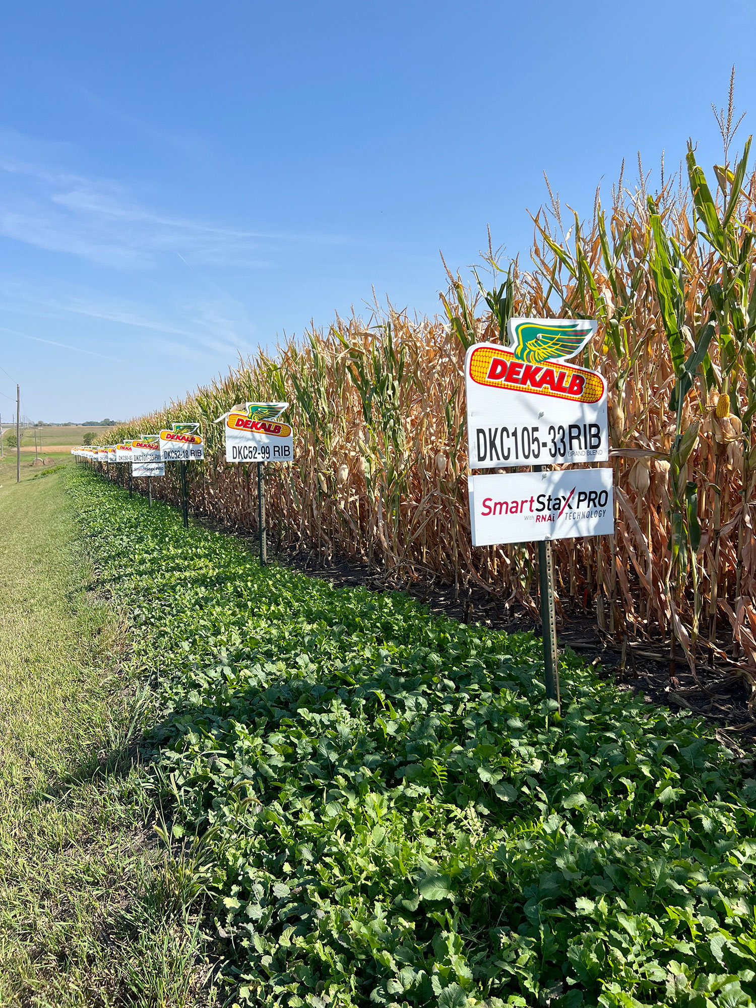 About AXESS Cooperative | Serving You. Growing Together
